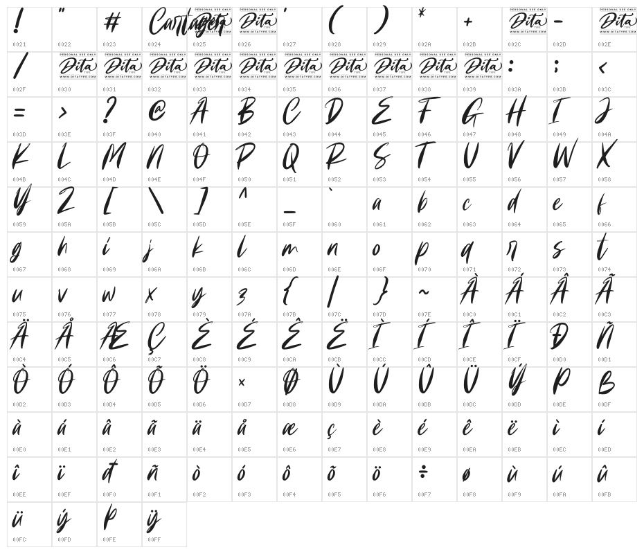 Cartager Personal Use Character Map