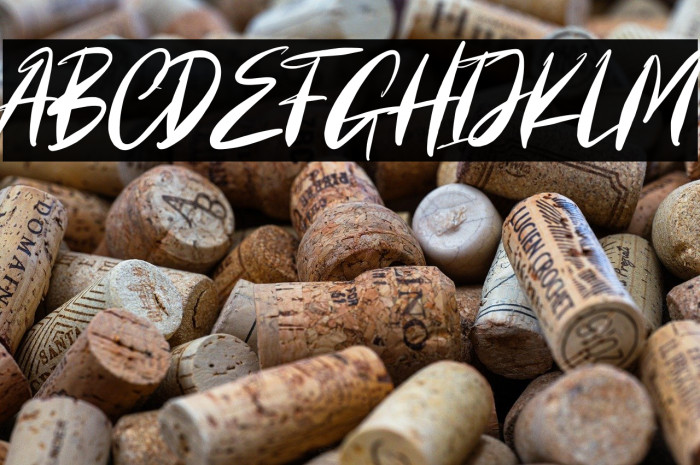 Cartager Personal Use Example 1