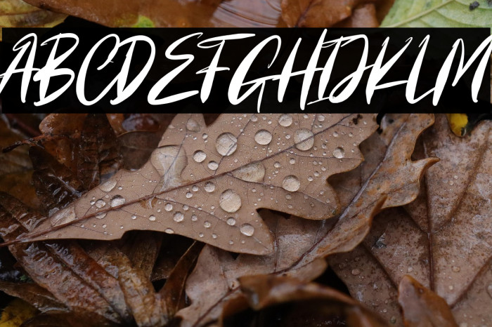 Cartager Personal Use Example 2