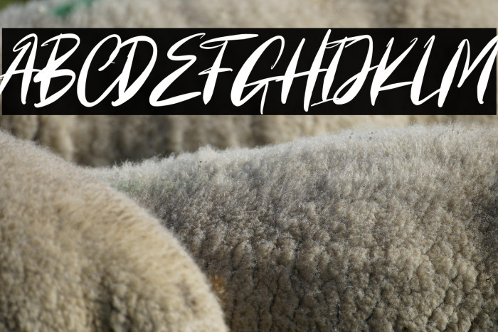 Cartager Personal Use Example 3