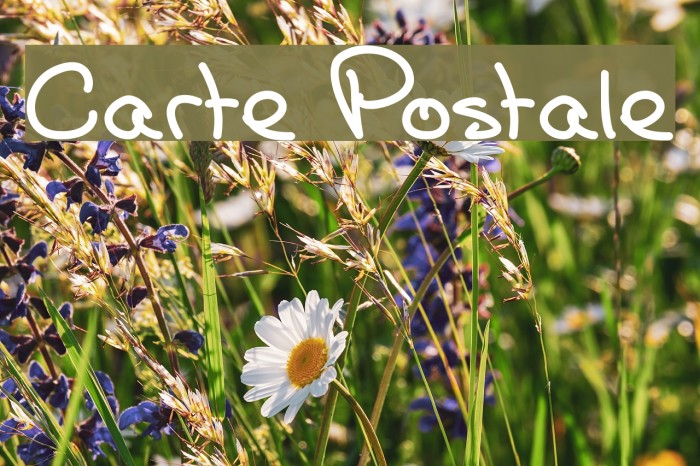 Carte Postale Font examples