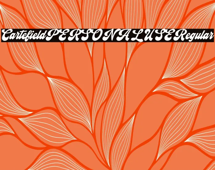Cartefield PERSONAL USE Regular Example 2