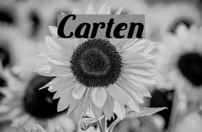 Carten Font examples