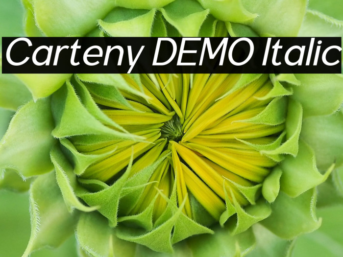 Carteny DEMO Italic Example 2