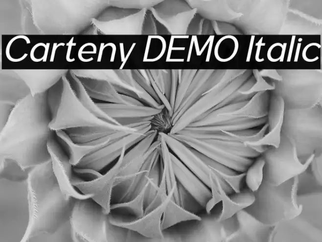 Carteny DEMO Italic Fuentes examples