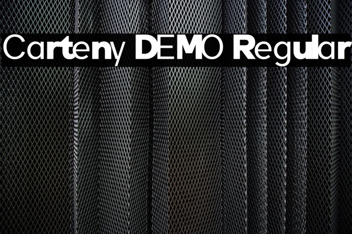 Carteny DEMO Regular Example 1