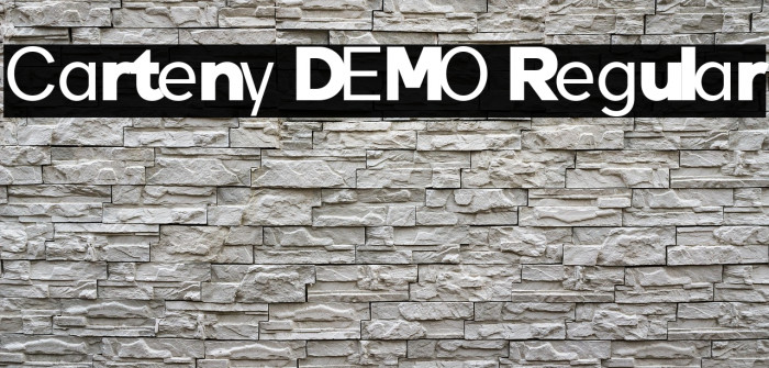 Carteny DEMO Regular Example 3