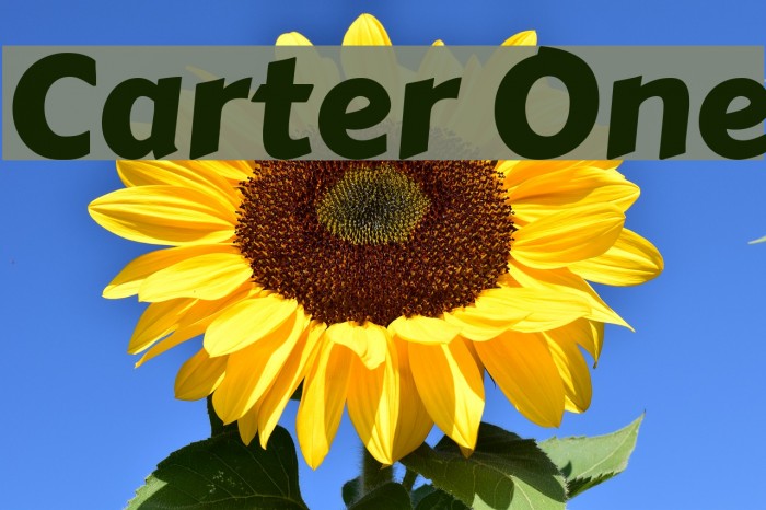 Carter One Font examples