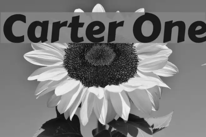 Carter One  examples