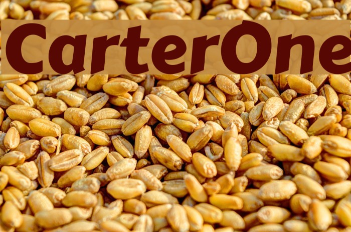 CarterOne Font examples