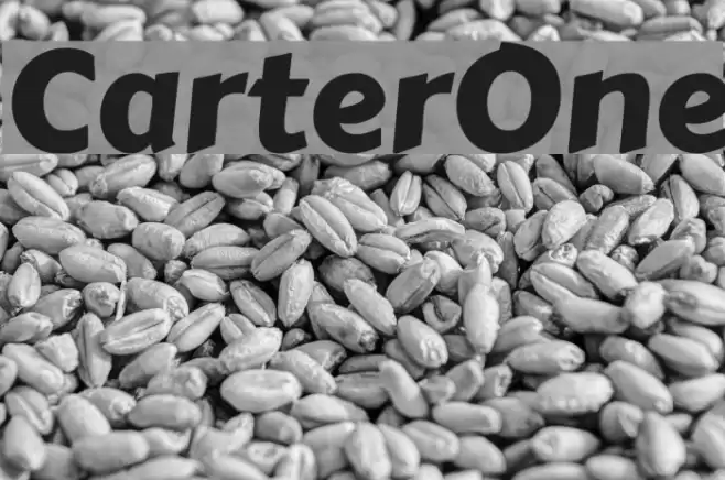 CarterOne examples
