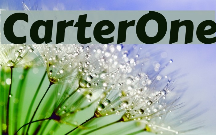 CarterOne Font examples