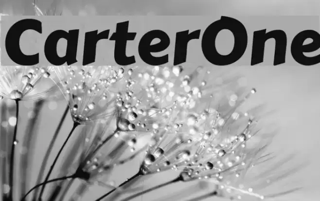 CarterOne examples