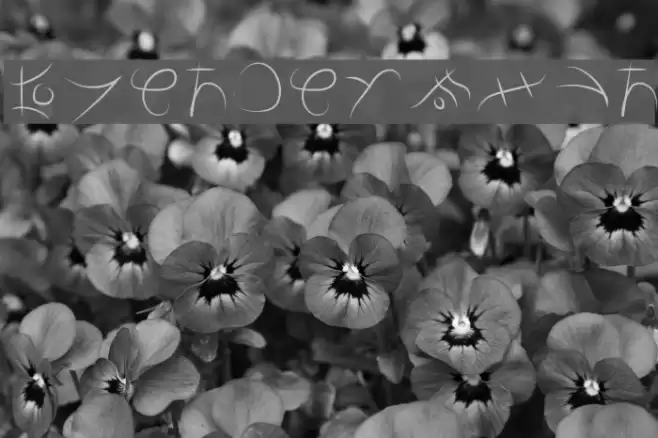 CartersFont Font examples