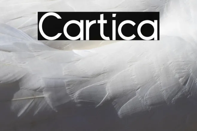 Cartica Example 1
