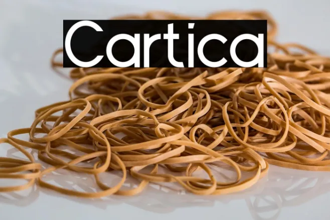 Cartica Example 2