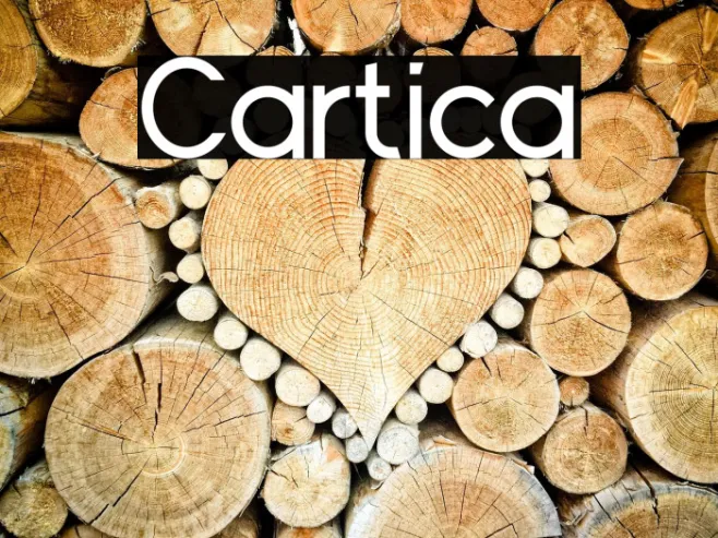 Cartica Example 3