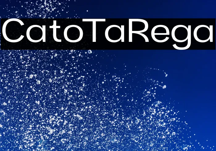 Cartio Trial Regular Example 1