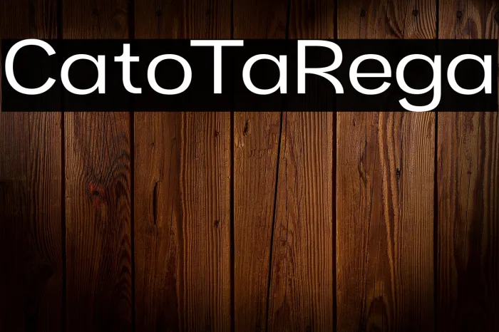 Cartio Trial Regular Example 3