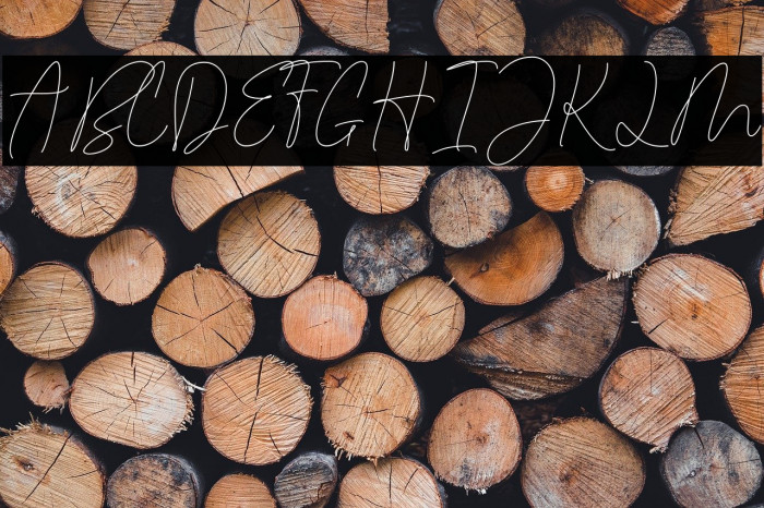 Cartis Beautyful Script Example 3