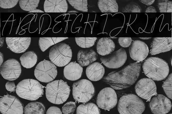 Cartis Beautyful Script Schriftart examples