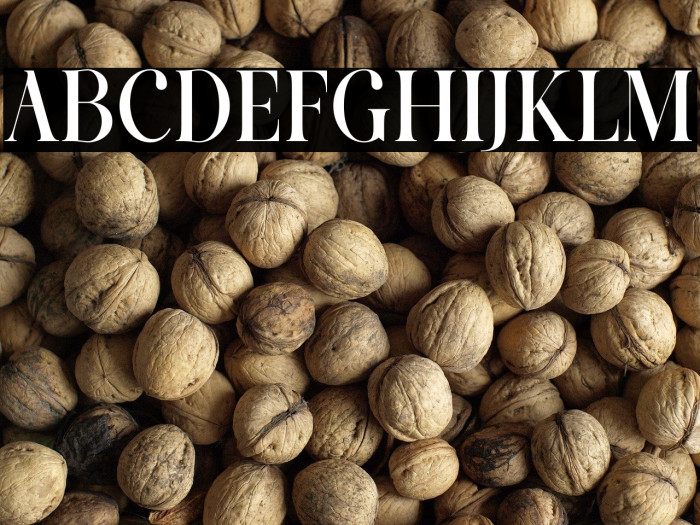 Cartis Beautyful Example 3