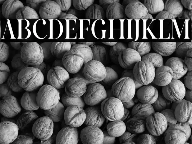 Cartis Beautyful Caratteri examples