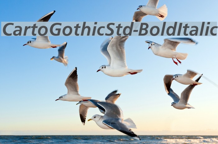 CartoGothicStd-BoldItalic Font examples