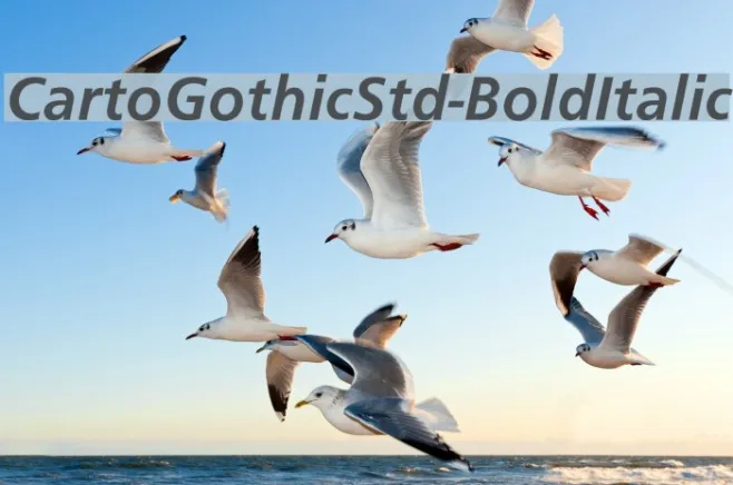 CartoGothicStd-BoldItalic Example 1