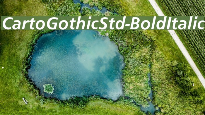 CartoGothicStd-BoldItalic Font examples