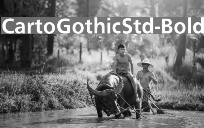 CartoGothicStd-Bold Font examples