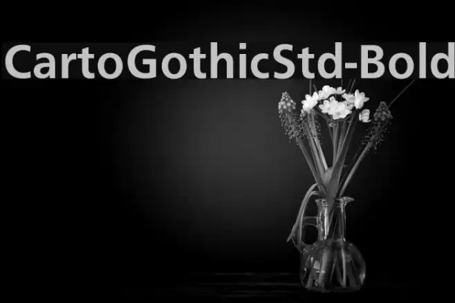 CartoGothicStd-Bold Font examples