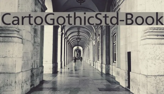 CartoGothicStd-Book Example 1
