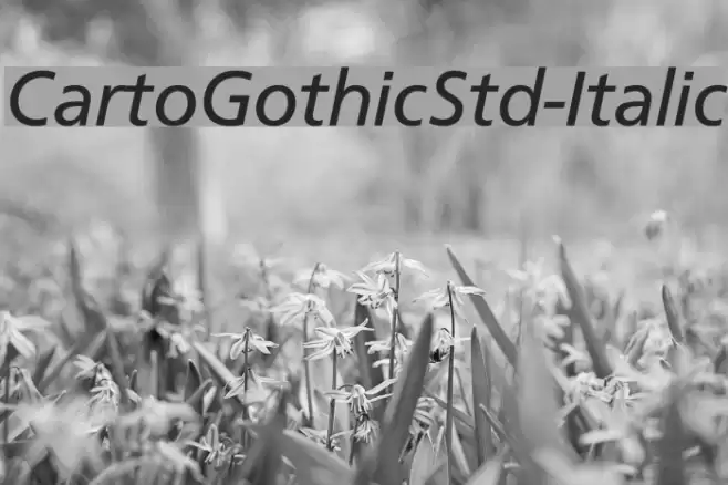 CartoGothicStd-Italic Font examples