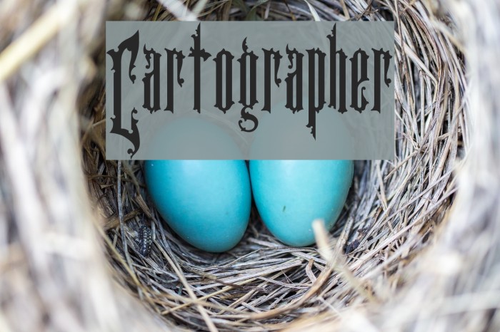 Cartographer Font examples
