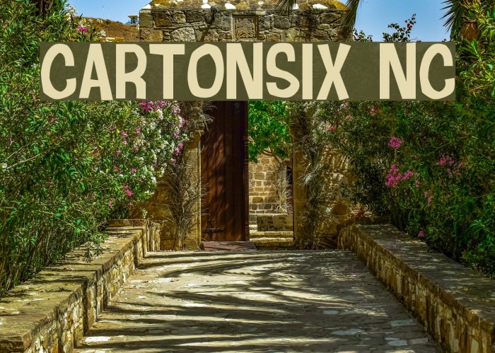 Cartonsix NC Schriftart examples
