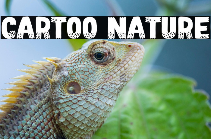 Cartoo Nature Example 3