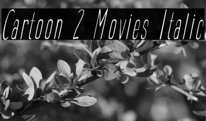 Cartoon 2 Movies Italic Font examples