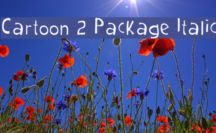 Cartoon 2 Package Italic Example 3