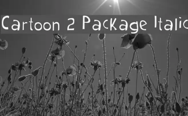 Cartoon 2 Package Italic Font examples