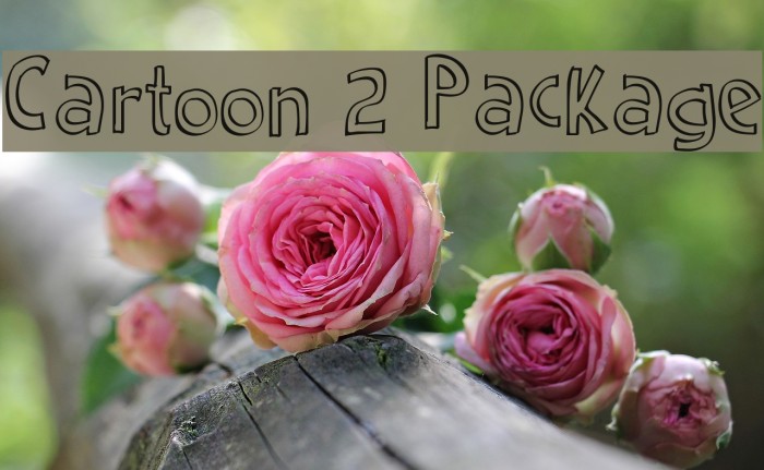 Cartoon 2 Package Font examples