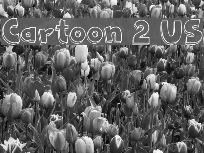 Cartoon 2 US Font examples