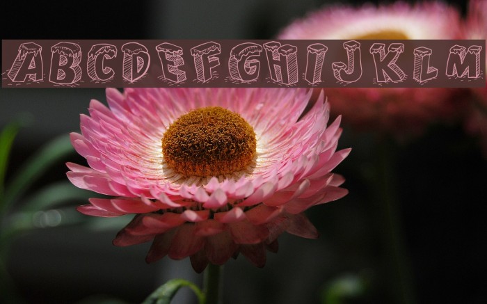 Cartoon Blocks Christmas SC Example 3