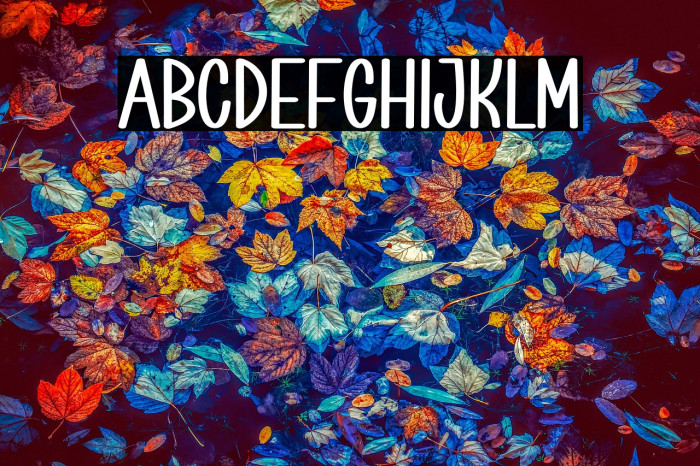 Cartoon Box Example 1