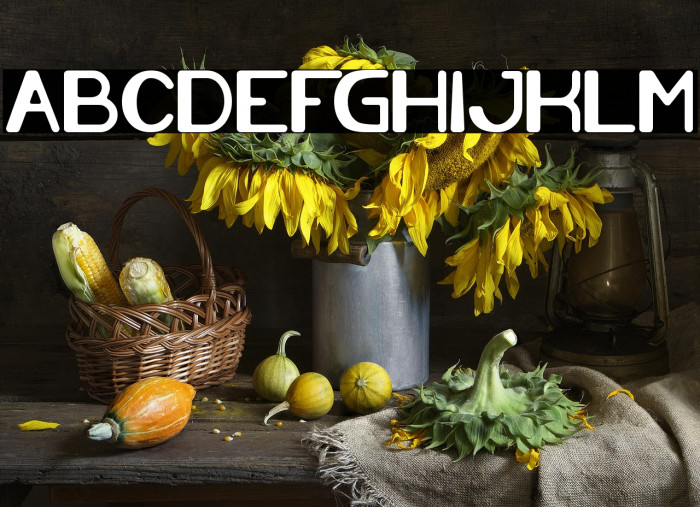 Cartoon Character Bold Example 1