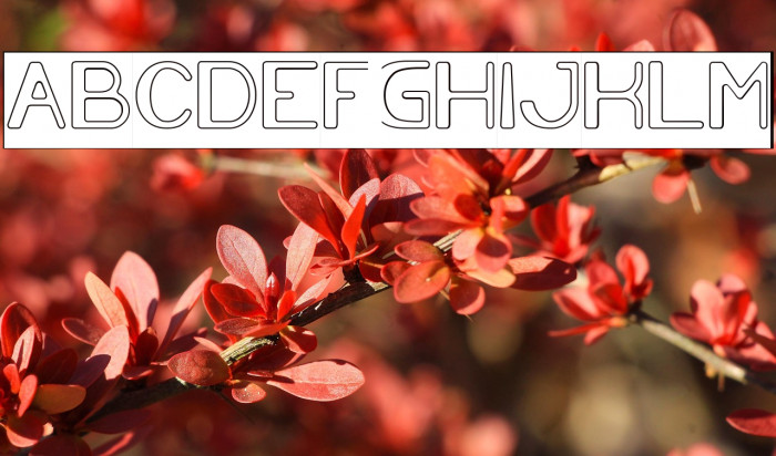 Cartoon Character-Hollow-Invers Example 3