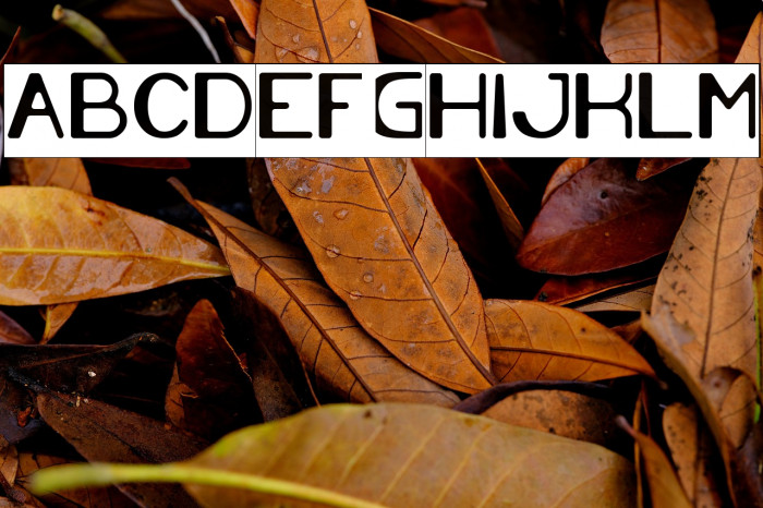 Cartoon Character-Inverse Example 2