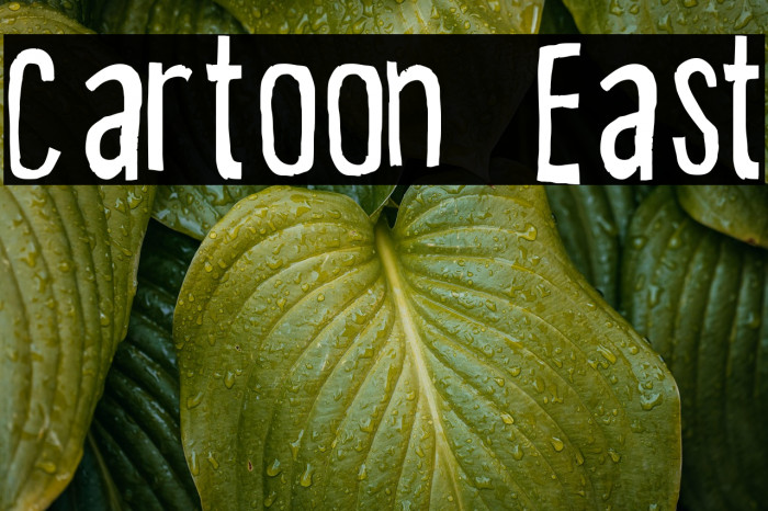 Cartoon East Example 1