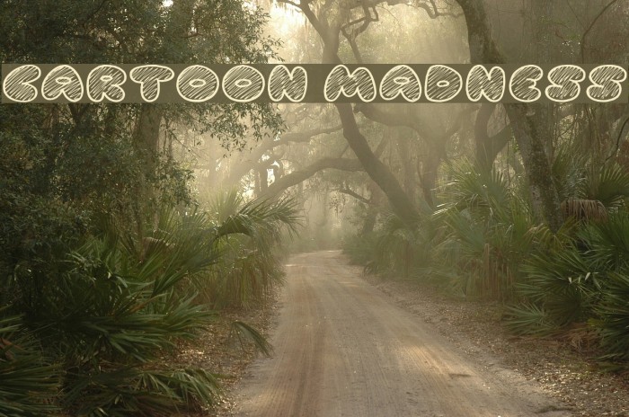 Cartoon Madness Font examples