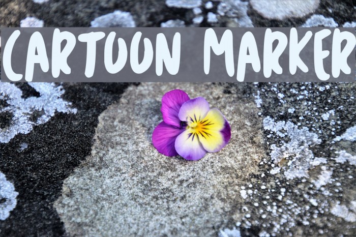 Cartoon Marker Font examples